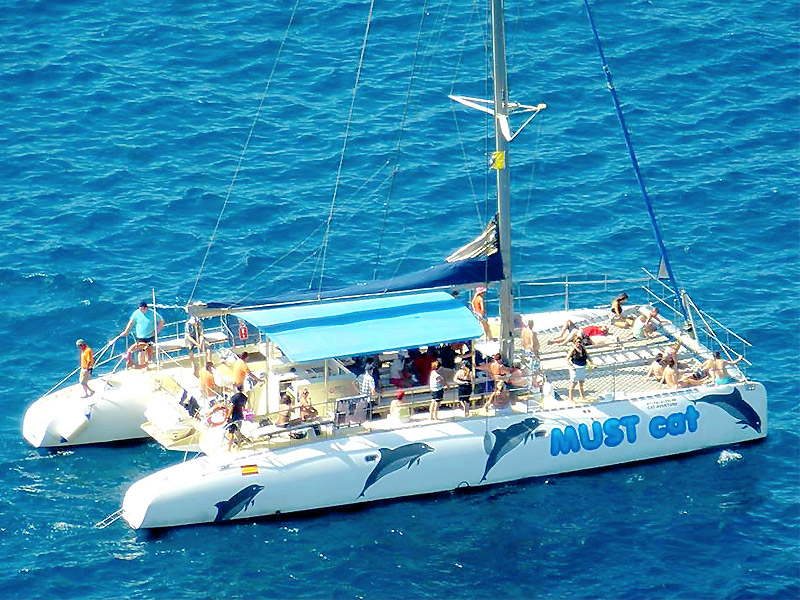 veranstaltung Mustcat Catamaran